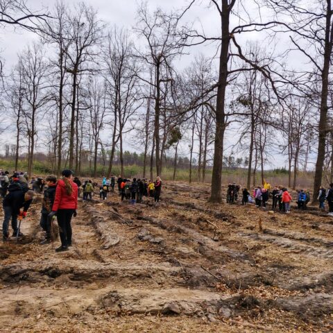 26.WhatsApp Image 2026-04-16 at 07.53.27 (2)