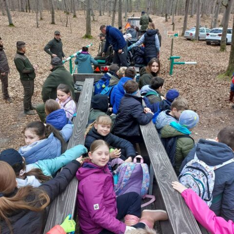 7.WhatsApp Image 2026-04-16 at 07.58.48